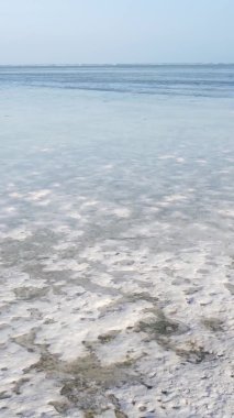 Zanzibar, Tanzanya - kıyıya yakın okyanusta alçak gelgitin dikey videosu, yavaş çekim