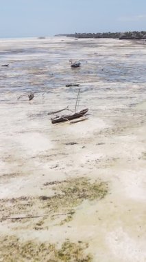 Zanzibar, Tanzanya - kıyıya yakın okyanusta alçak gelgitin dikey videosu, yavaş çekim