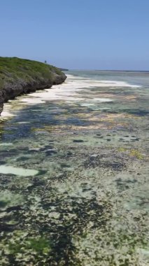 Zanzibar, Tanzanya - kıyıya yakın okyanusta alçak gelgitin dikey videosu, yavaş çekim