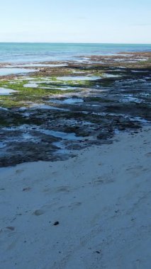 Zanzibar, Tanzanya - kıyıya yakın okyanusta alçak gelgitin dikey videosu, yavaş çekim