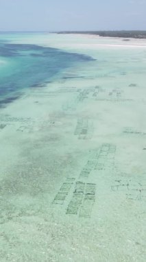 Zanzibar, Tanzanya - kıyıya yakın okyanusta alçak gelgitin dikey videosu, yavaş çekim