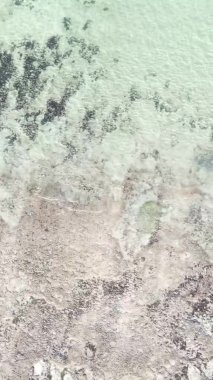Zanzibar, Tanzanya - kıyıya yakın okyanusta alçak gelgitin dikey videosu, yavaş çekim