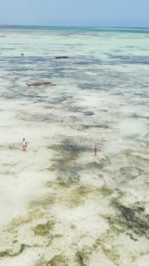 Zanzibar, Tanzanya - kıyıya yakın okyanusta alçak gelgitin dikey videosu, yavaş çekim