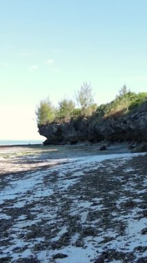 Zanzibar, Tanzanya - kıyıya yakın okyanusta alçak gelgitin dikey videosu, yavaş çekim