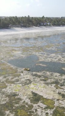 Zanzibar, Tanzanya - kıyıya yakın okyanusta alçak gelgitin dikey videosu, yavaş çekim