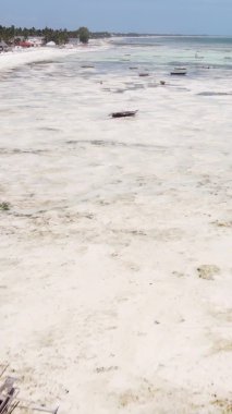 Zanzibar, Tanzanya - kıyıya yakın okyanusta alçak gelgitin dikey videosu, yavaş çekim