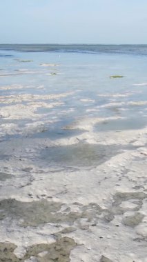 Zanzibar, Tanzanya - kıyıya yakın okyanusta alçak gelgitin dikey videosu, yavaş çekim