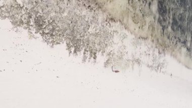 Zanzibar, Tanzanya - kıyıya yakın okyanusta alçak gelgitin dikey videosu, yavaş çekim