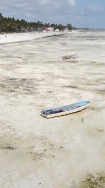 Zanzibar, Tanzanya - kıyıya yakın okyanusta alçak gelgitin dikey videosu, yavaş çekim