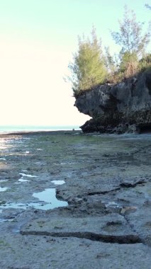 Zanzibar, Tanzanya - kıyıya yakın okyanusta alçak gelgitin dikey videosu, yavaş çekim