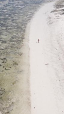 Zanzibar, Tanzanya - kıyı manzarasının dikey videosu, yavaş çekim