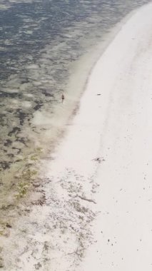 Zanzibar, Tanzanya - kıyı manzarasının dikey videosu, yavaş çekim