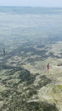 Zanzibar, Tanzanya - kıyı manzarasının dikey videosu, yavaş çekim