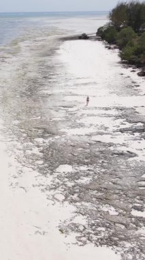 Zanzibar, Tanzanya - kıyı manzarasının dikey videosu, yavaş çekim