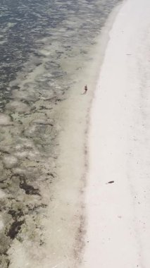 Zanzibar, Tanzanya - kıyı manzarasının dikey videosu, yavaş çekim