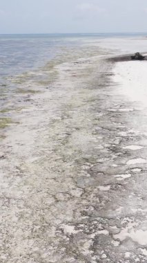 Zanzibar, Tanzanya - kıyı manzarasının dikey videosu, yavaş çekim