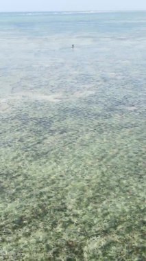 Zanzibar, Tanzanya - kıyı manzarasının dikey videosu, yavaş çekim