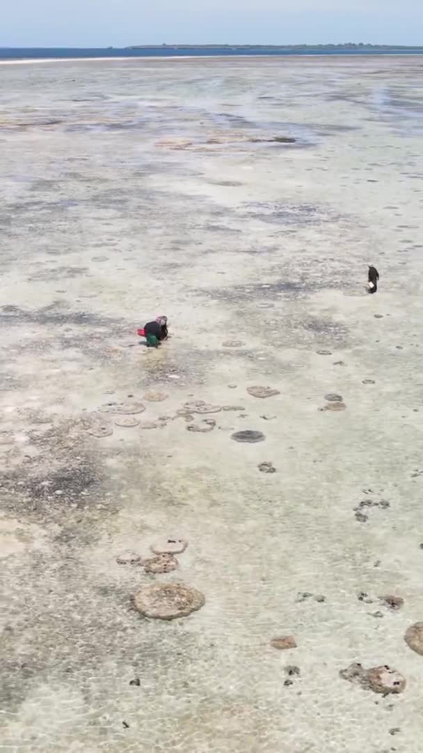 잔지바르 탄자니아 바다에서 썰물을 수직으로 — 비디오