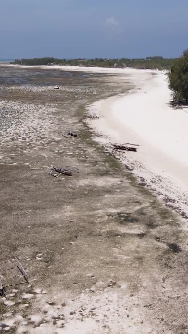 Zanzibar Τανζανία Κάθετο Βίντεο Χαμηλή Παλίρροια Στον Ωκεανό Κοντά Στην — Αρχείο Βίντεο