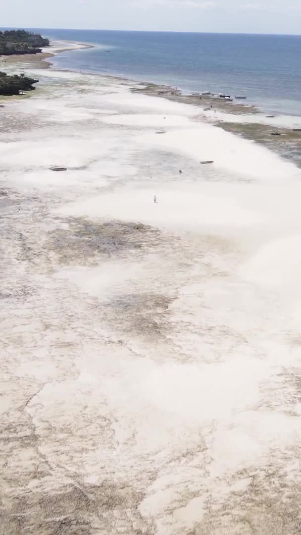 Zanzibar Τανζανία Κάθετο Βίντεο Χαμηλή Παλίρροια Στον Ωκεανό Κοντά Στην — Αρχείο Βίντεο