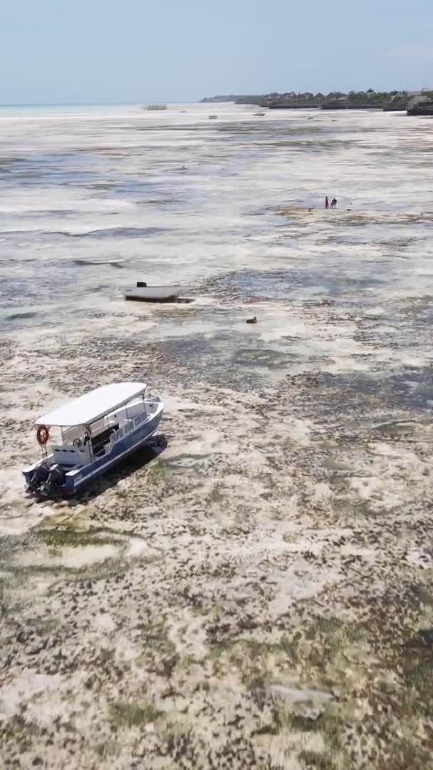 タンザニアのザンジバル 海岸近くの海での干潮の垂直ビデオ スローモーション — ストック動画