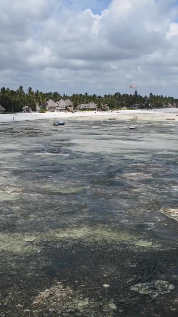 Zanzibár Tanzánia Függőleges Videó Apályról Óceán Partjainál Lassított Felvétel — Stock videók