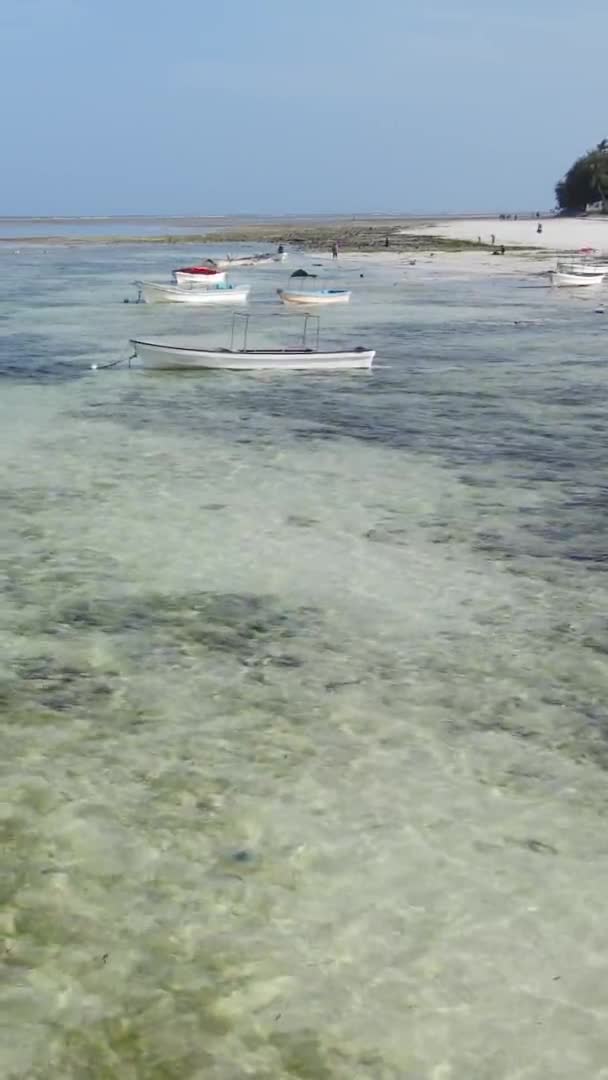 Zanzibar Tanzania Vertikal Video Lågvatten Havet Nära Kusten Slow Motion — Stockvideo