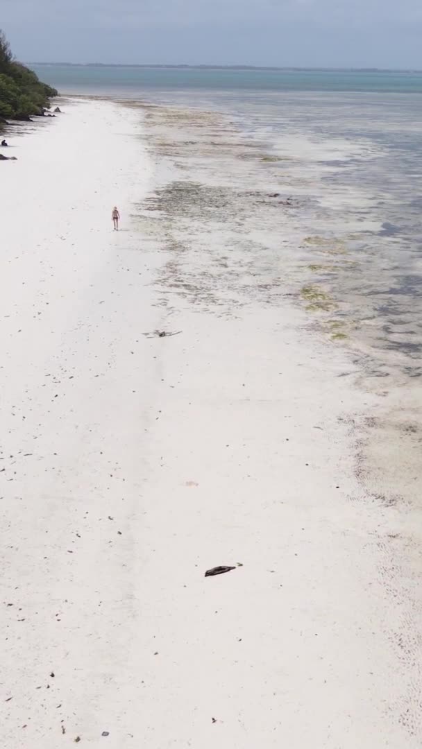 잔지바르 탄자니아 바다에서 썰물을 수직으로 — 비디오