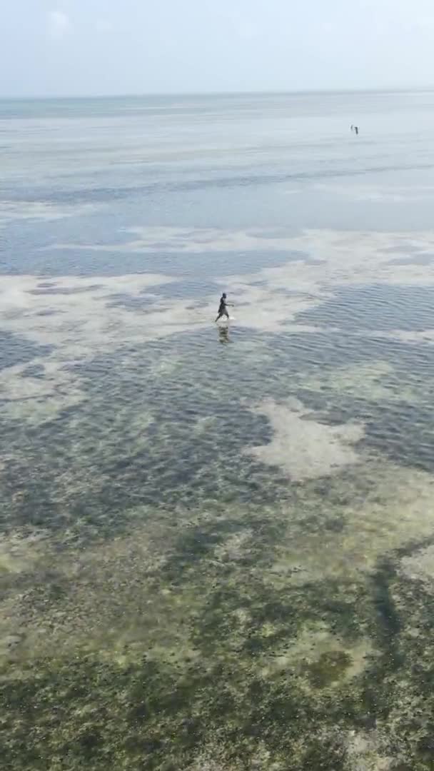 桑给巴尔 坦桑尼亚 海岸景观的垂直视频 慢镜头 — 图库视频影像