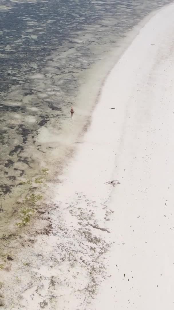 タンザニアのザンジバル 海岸線の風景の垂直ビデオ スローモーション — ストック動画