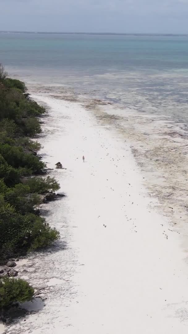桑给巴尔 坦桑尼亚 海岸景观的垂直视频 慢镜头 — 图库视频影像