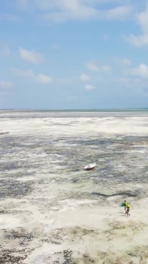 Zanzibar, Tanzanya - okyanus kıyısında dikey video uçurtmaları, yavaş çekim