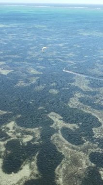 Zanzibar, Tanzanya - okyanus kıyısında dikey video uçurtmaları, yavaş çekim