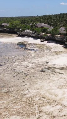 Zanzibar, Tanzanya - kıyıya yakın okyanusun dikey videosu, yavaş çekim
