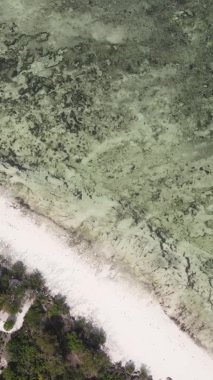 Zanzibar, Tanzania - vertical video of the ocean near the coast, slow motion