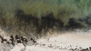 Zanzibar, Tanzanya - kıyıya yakın okyanusun dikey videosu, yavaş çekim