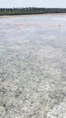 Zanzibar, Tanzanya - kıyıya yakın okyanusun dikey videosu, yavaş çekim