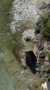 Zanzibar, Tanzanya - kıyıya yakın okyanusun dikey videosu, yavaş çekim