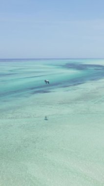 Zanzibar, Tanzania - vertical video of the ocean near the coast, slow motion