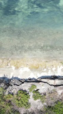 Zanzibar, Tanzanya - kıyıya yakın okyanusun dikey videosu, yavaş çekim