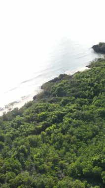 Zanzibar, Tanzania - vertical video of the ocean near the coast, slow motion