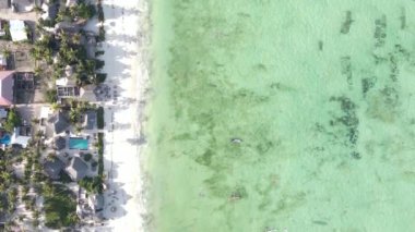 Zanzibar, Tanzanya - kıyıya yakın okyanusun dikey videosu, yavaş çekim