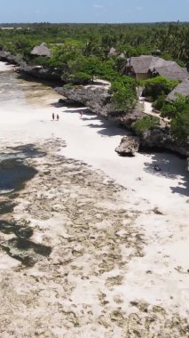 Zanzibar, Tanzania - vertical video of the ocean near the coast, slow motion