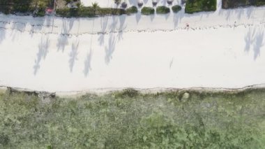 Zanzibar, Tanzanya - kıyıya yakın okyanusun dikey videosu, yavaş çekim