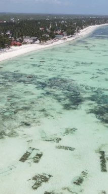 Zanzibar, Tanzanya - kıyıya yakın okyanusun dikey videosu, yavaş çekim