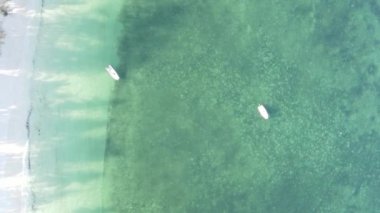 Zanzibar, Tanzanya - kıyıya yakın okyanusun dikey videosu, yavaş çekim