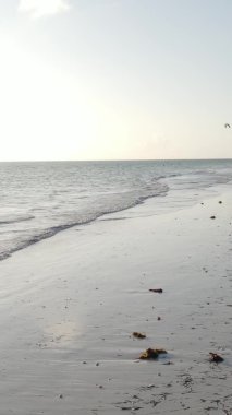 Zanzibar, Tanzanya - kıyıya yakın okyanusun dikey videosu, yavaş çekim