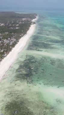 Zanzibar, Tanzania - vertical video of the ocean near the coast, slow motion