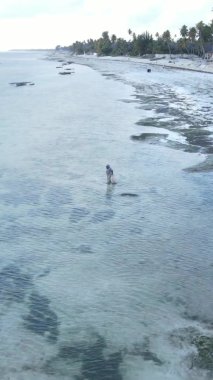 Zanzibar, Tanzanya - kıyıya yakın okyanusun dikey videosu, yavaş çekim