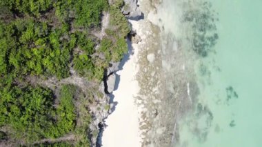 Zanzibar, Tanzanya - kıyıya yakın okyanusun dikey videosu, yavaş çekim
